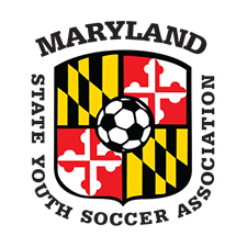 MSYSA Logo